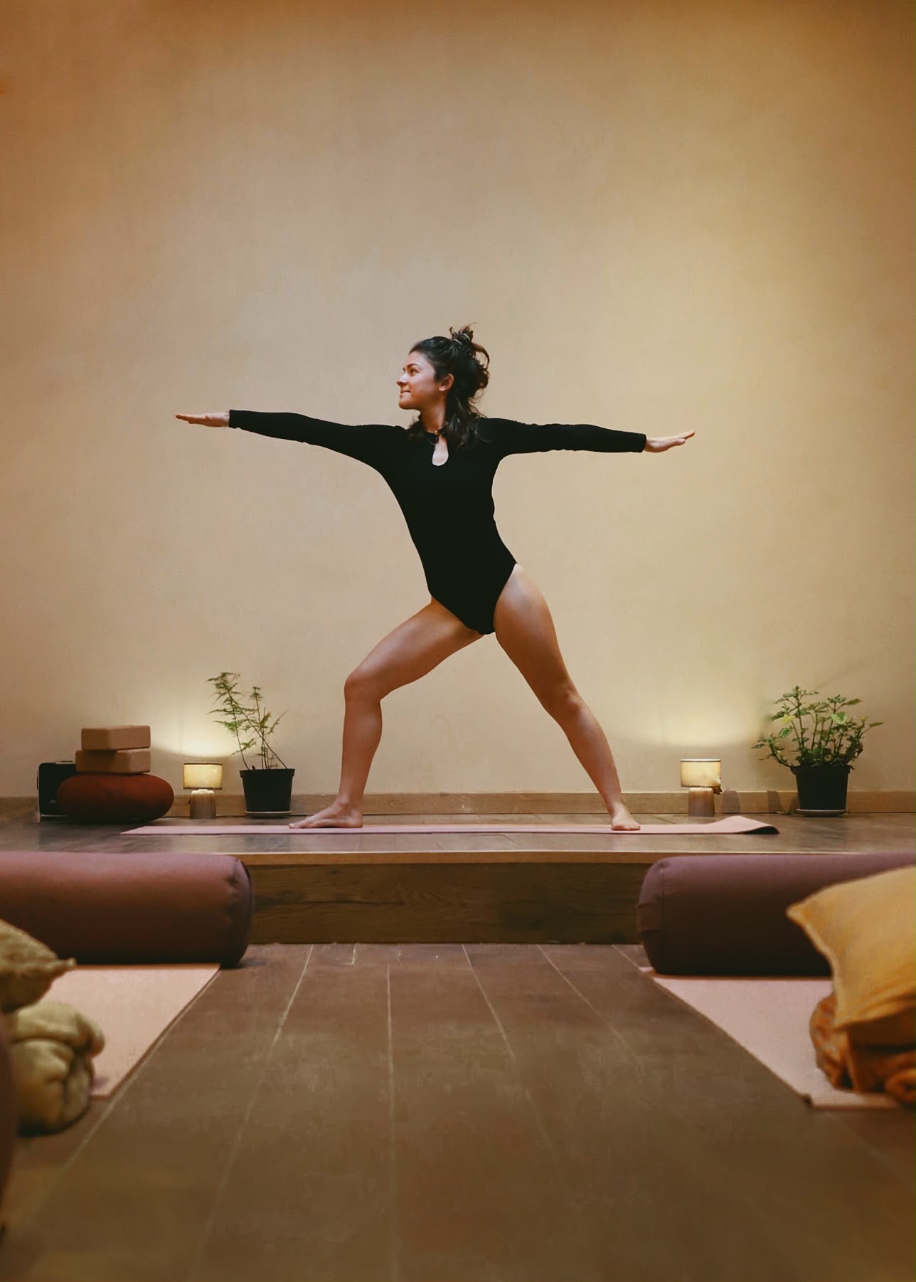 Vinyasa dynamique — illustration